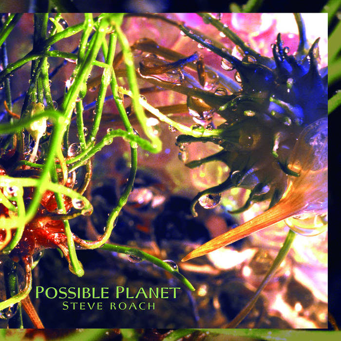 Possible Planet