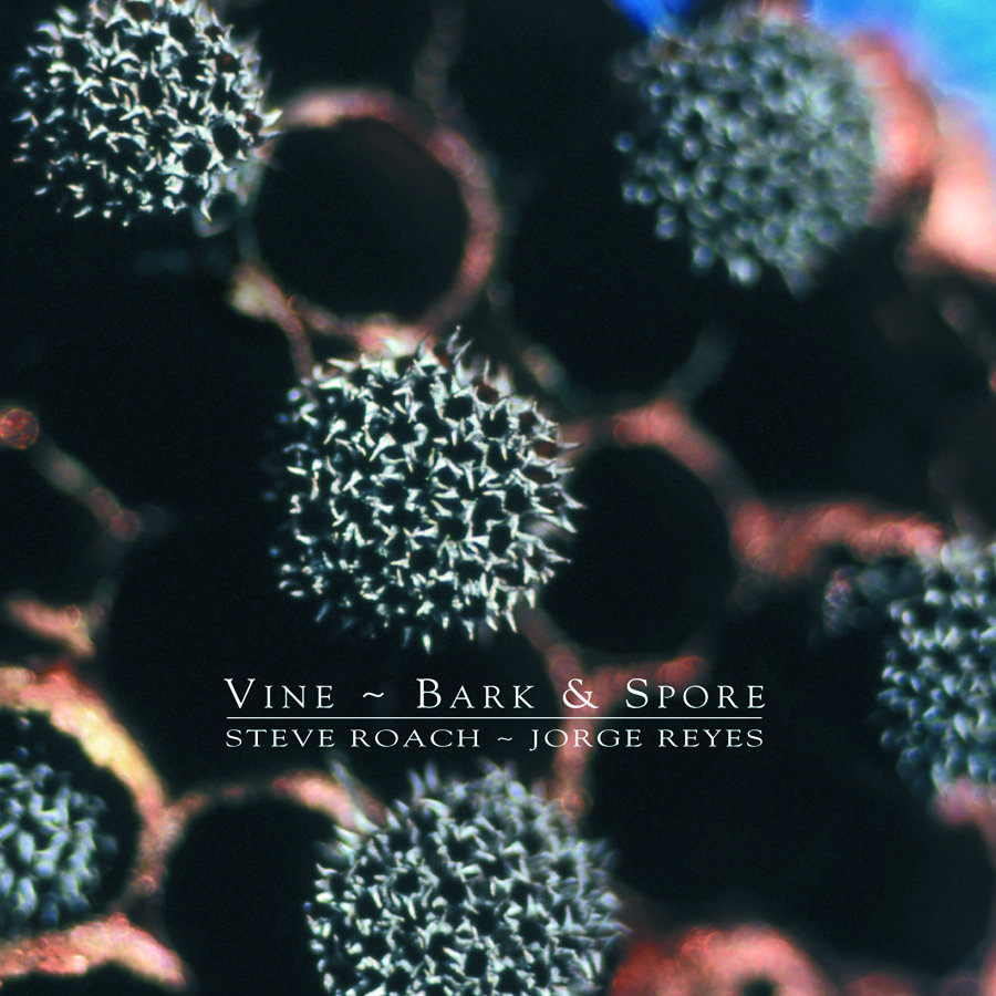 Vine, Bark & Spore